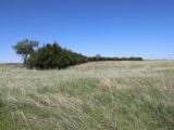 Cheyenne county crp & pasture