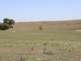 Kiser CRP & Pasture