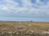 Parcel #4 - View of dryland from east to west of corn field