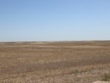 dryland to be planted to CRP