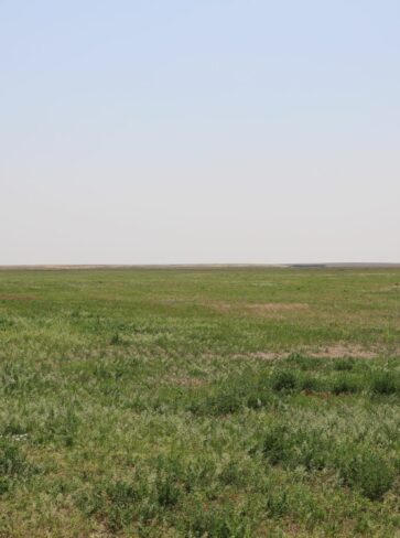Quarter-Section Of dryland