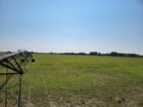 Property Merino Irrigated Land Auction