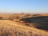 Sterling Country Acreage Auction Place