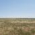 Weld County CRP Auction Place