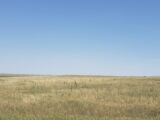 Weld County CRP Auction Place