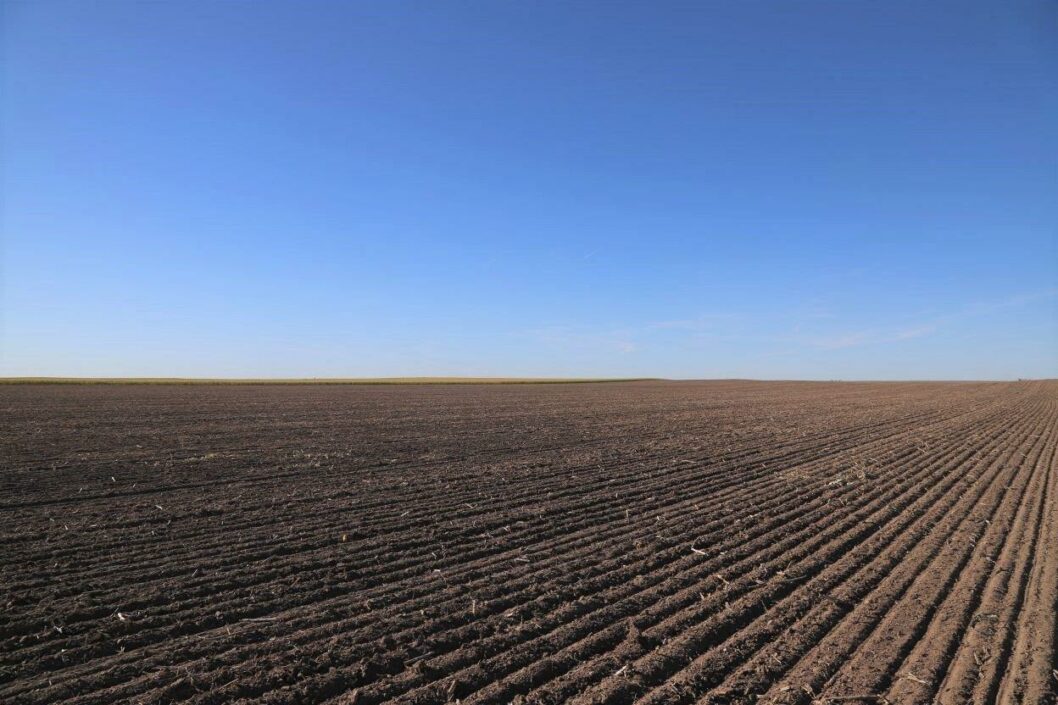 Picture of recently planted wheat field with blue sky