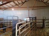 Inside of calving barn