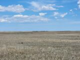Kimball County CRP Grasslands Auction Place