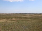 Parcel #2 - NE view of grassland