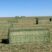 Riverside Irrigated baled hay up close