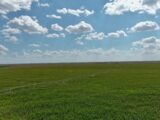 Southeast Sedgwick County Irrigated Farm Auction Place