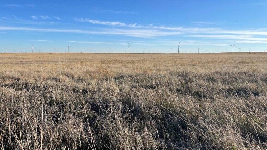 Buying Land Enrolled in CRP (Conservation Reserve Program)