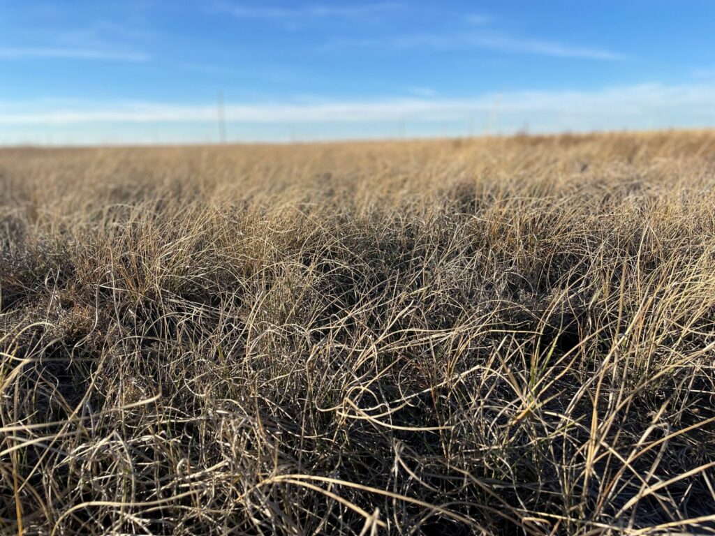 Buying Land Enrolled in CRP, Buy Hunting, Mountain, & Farming Land