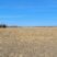 East Brule Irrigated & River Bottom Auction Place