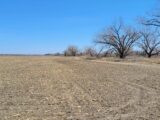 East Brule Irrigated & River Bottom Auction Place