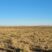 Native grassland; sage brush; blue Colorado sky