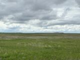 Shirley CRP Land Auction Place