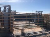 Rober Family Enterprises LLP Pasture Auction