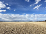 Atwood Sperinkler Irrigated Land Auction