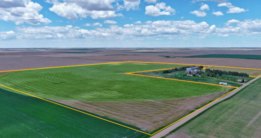 Watkins Irrigated Quarter