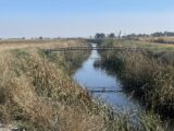 Bridges across Cedar Creek for pivot