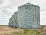N Yuma Grain Fac 13