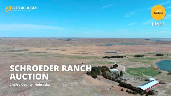 Condon East Pasture