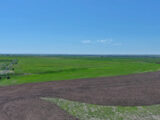 JID Irrigated Farm