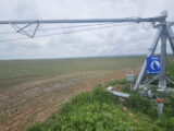 JID Irrigated Farm
