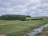 JID Irrigated Farm