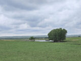 JID Irrigated Farm