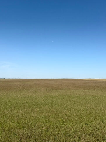 Co Rd 59 Dryland