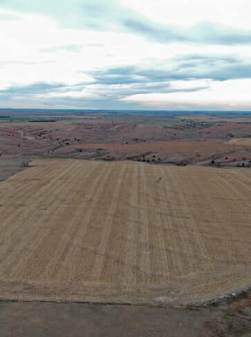 Elmo & Doyle Neiman Co. (CO) Land Auction