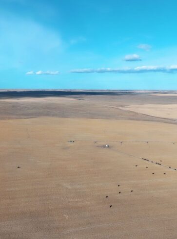 Elmo & Doyle Neiman Co. (CO) Land Auction