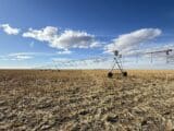 Elmo & Doyle Neiman Co. (CO) Land Auction
