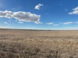 Elmo & Doyle Neiman Co. (CO) Land Auction