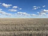 Elmo & Doyle Neiman Co. (CO) Land Auction
