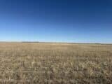 West to East wheat stubble