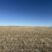 West to East wheat stubble