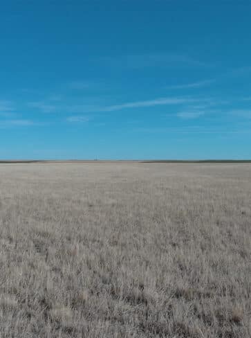 Lincoln-Washington CRP