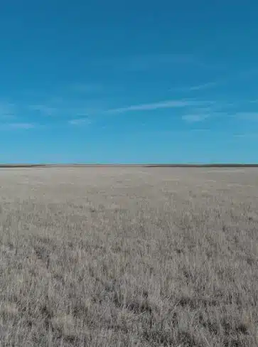 Lincoln-Washington CRP