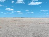 Parcel #1-1 County Line CRP