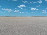 Parcel #1-2 County Line CRP
