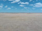 Parcel #1-5 County Line CRP