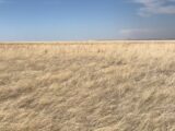 Parcel #2-1 County Line CRP