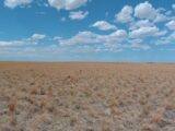 Parcel #2-3 County Line CRP