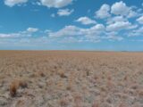 Parcel #2-4 County Line CRP