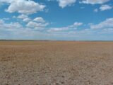 Parcel #2-5 County Line CRP